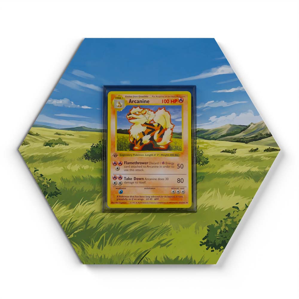 23/102 Arcanine - Extended Artwork Pokemon Card Display