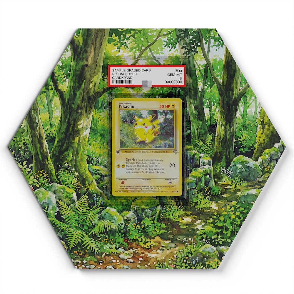 60/64 Pikachu - Extended Artwork Pokemon Card Display