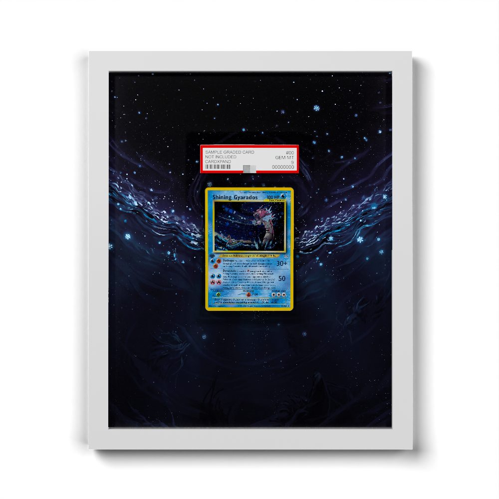 65/64 Shining Gyarados - Extended Artwork Pokemon Card Frame