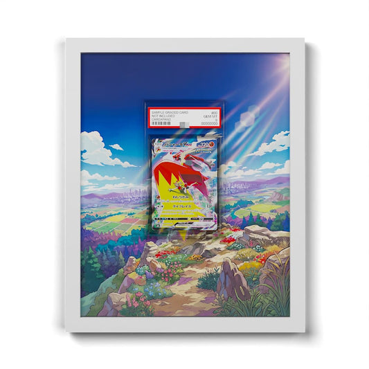217/184 Braségali - Extended Artwork Framed Pokemon Card Display