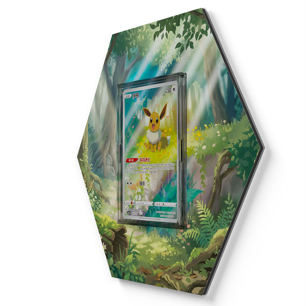 01 Évoli CBB2C - Extended Artwork Pokemon Card Display