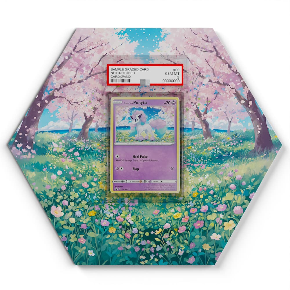 SWSH013 Ponyta de Galar - Extended Artwork Pokemon Card Display