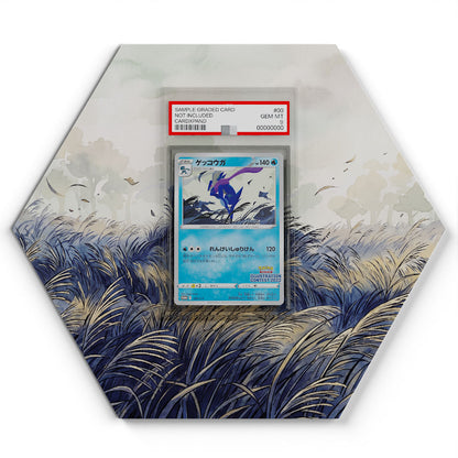 339/S-P Amphinobi - Extended Artwork Pokemon Card Display