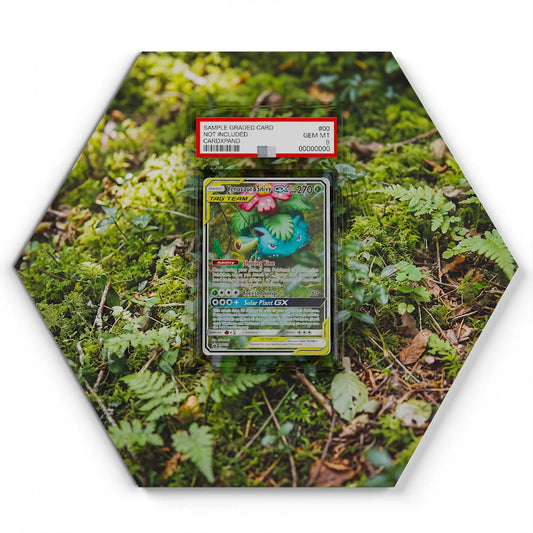 SM229 Venusaur & Snivy GX - Extended Artwork Pokemon Card Display