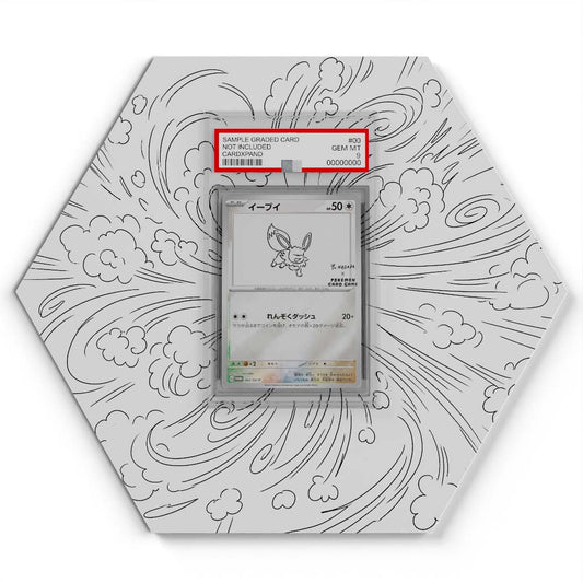 064 Eevee - Extended Artwork Pokemon Card Display
