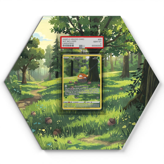 GG01/GG70 Voltorbe de Hisui - Extended Artwork Pokemon Card Display