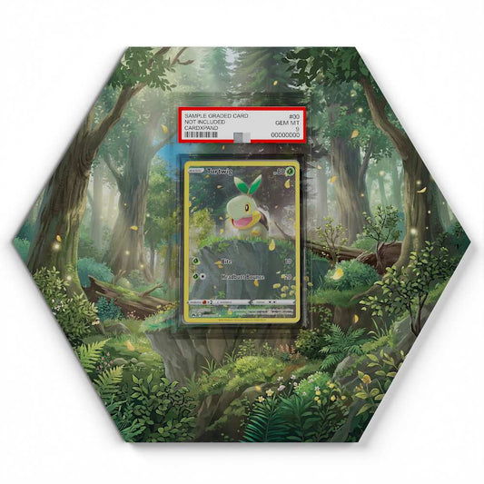 gg31-gg70-turtwig large graded display
